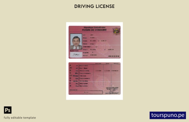 Plantilla de licencia de conducir centroafricana lista para imprimir